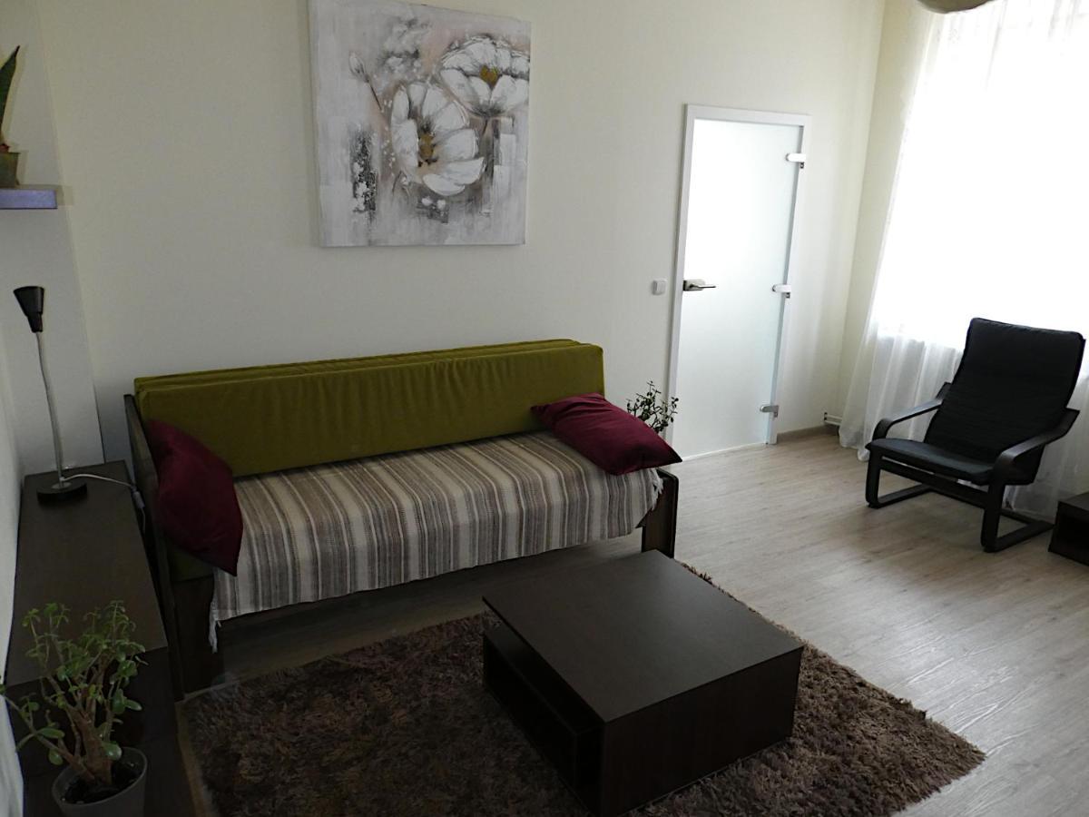 Apartman Marenka Nove Mesto na Morave Exteriör bild